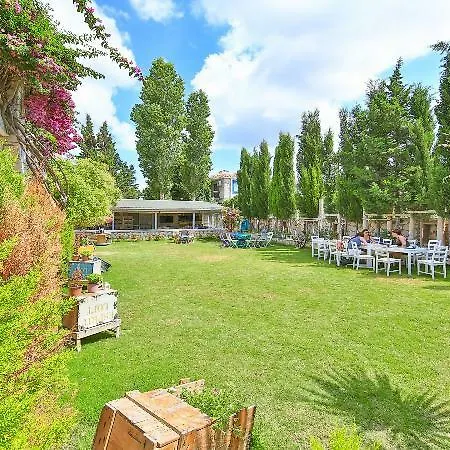 Ξενοδοχείο Alasonya By Lamira 4*